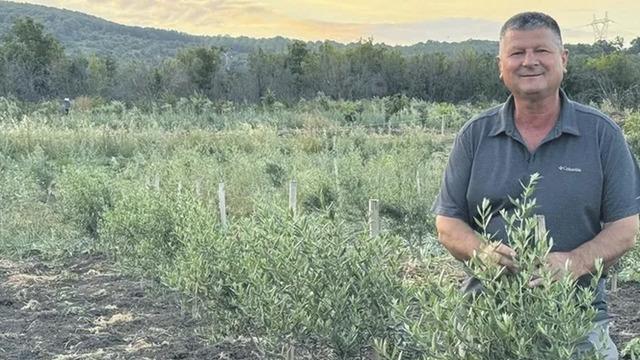Atıl orman arazisi tahsis edildi! Her bir köylünün 30'ar ağacı var