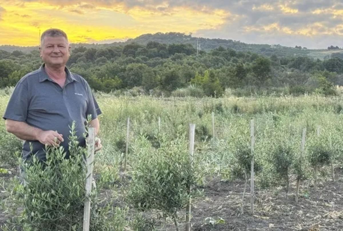 Atıl orman arazisi tahsis edildi! Her bir köylünün 30 ar ağacı var 2