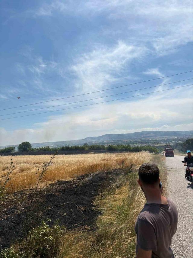 Tarım arazisi k&uuml;le d&ouml;nd&uuml; 1