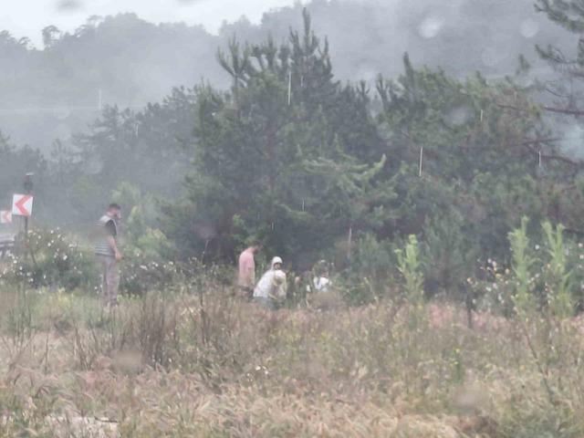 Bolu’da virajı alamayan hafif ticari araç yoldan çıktı: 3 yaralı 2