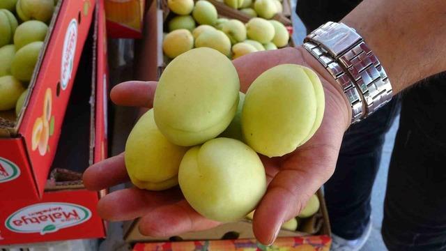 Malatya’da yaş kayısı tezgahlarda yerini aldı 2