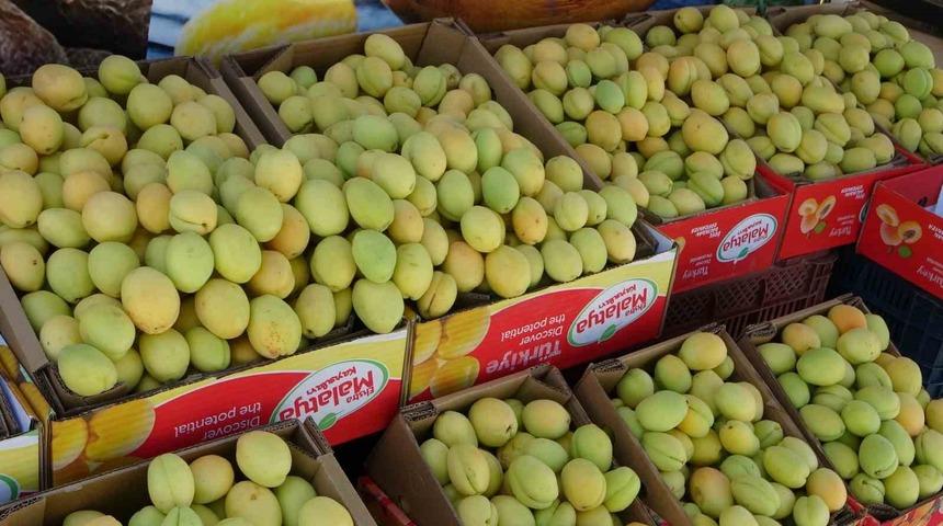 Malatya&rsquo;da yaş kayısı tezgahlarda yerini aldı