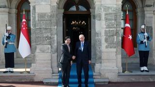 Cumhurbaşkanı Erdoğan, Singapur Başbakanı Lawrence Wong'u kabul etti