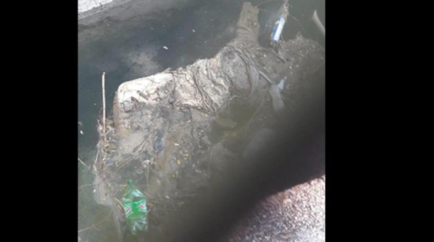 Konya'da kolları ve başı kesik kadın cesedi bulundu