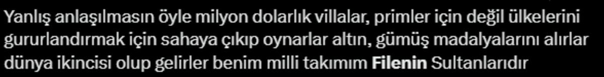 Milli Takım’ın vedası sonrası eski defterler açıldı: Futbolculara villa, "Filenin Sultanları"na ekonomi sınıfı... 3