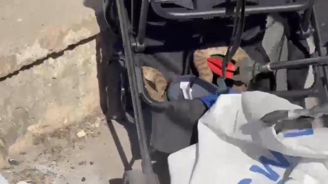 Şanlıurfa&rsquo;da ağa&ccedil;tan bebek arabasına yılan d&uuml;şt&uuml; 1
