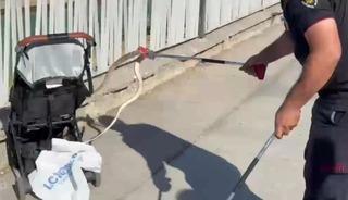 Şanlıurfa&rsquo;da ağa&ccedil;tan bebek arabasına yılan d&uuml;şt&uuml;