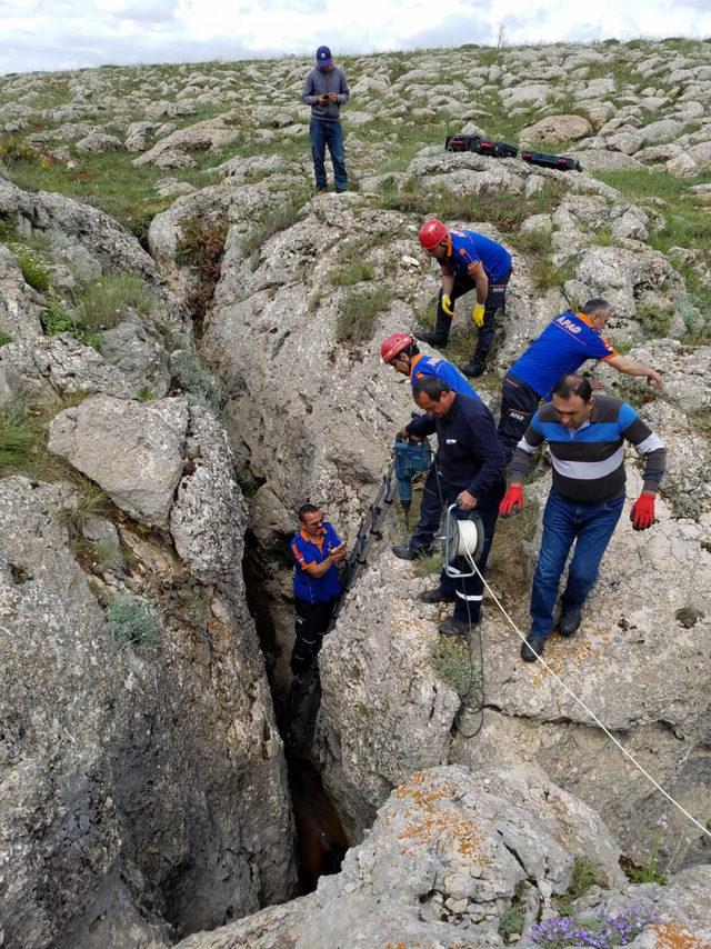 Kayalıklara sıkışan atı AFAD kurtardı