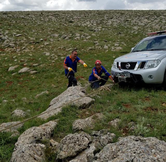 Kayalıklara sıkışan atı AFAD kurtardı