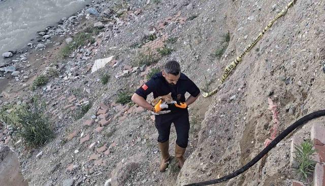 &Ccedil;orum&rsquo;da &ccedil;aya d&uuml;şen kediyi itfaiye kurtardı 4