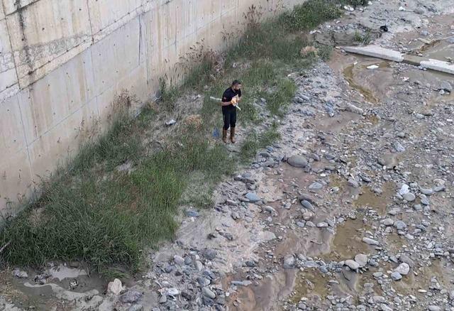 &Ccedil;orum&rsquo;da &ccedil;aya d&uuml;şen kediyi itfaiye kurtardı 2