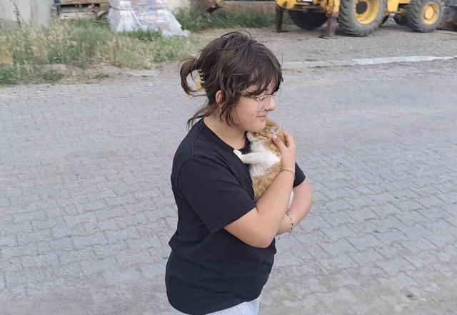 &Ccedil;orum&rsquo;da &ccedil;aya d&uuml;şen kediyi itfaiye kurtardı 1