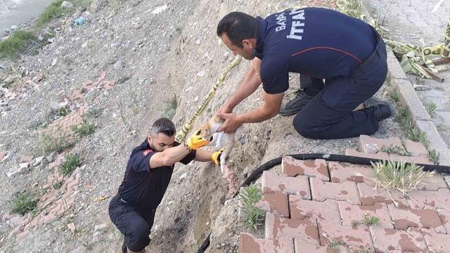 Çorum’da çaya düşen kediyi itfaiye kurtardı