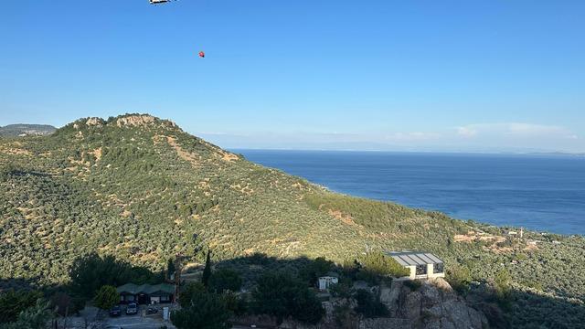 Çanakkale'de zeytinliklerin bulunduğu zirai alanda çıkan yangın söndürüldü