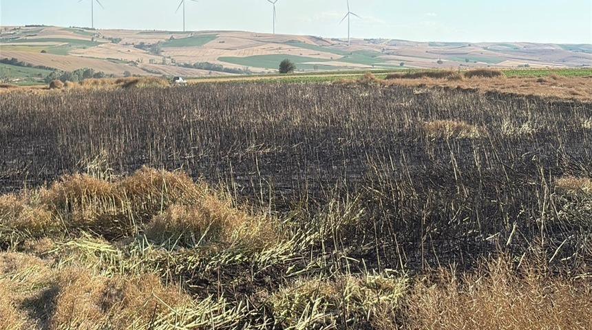 Tekirdağ'da 60 d&ouml;n&uuml;m buğday ve kanola ekili alan yangında zarar g&ouml;rd&uuml;