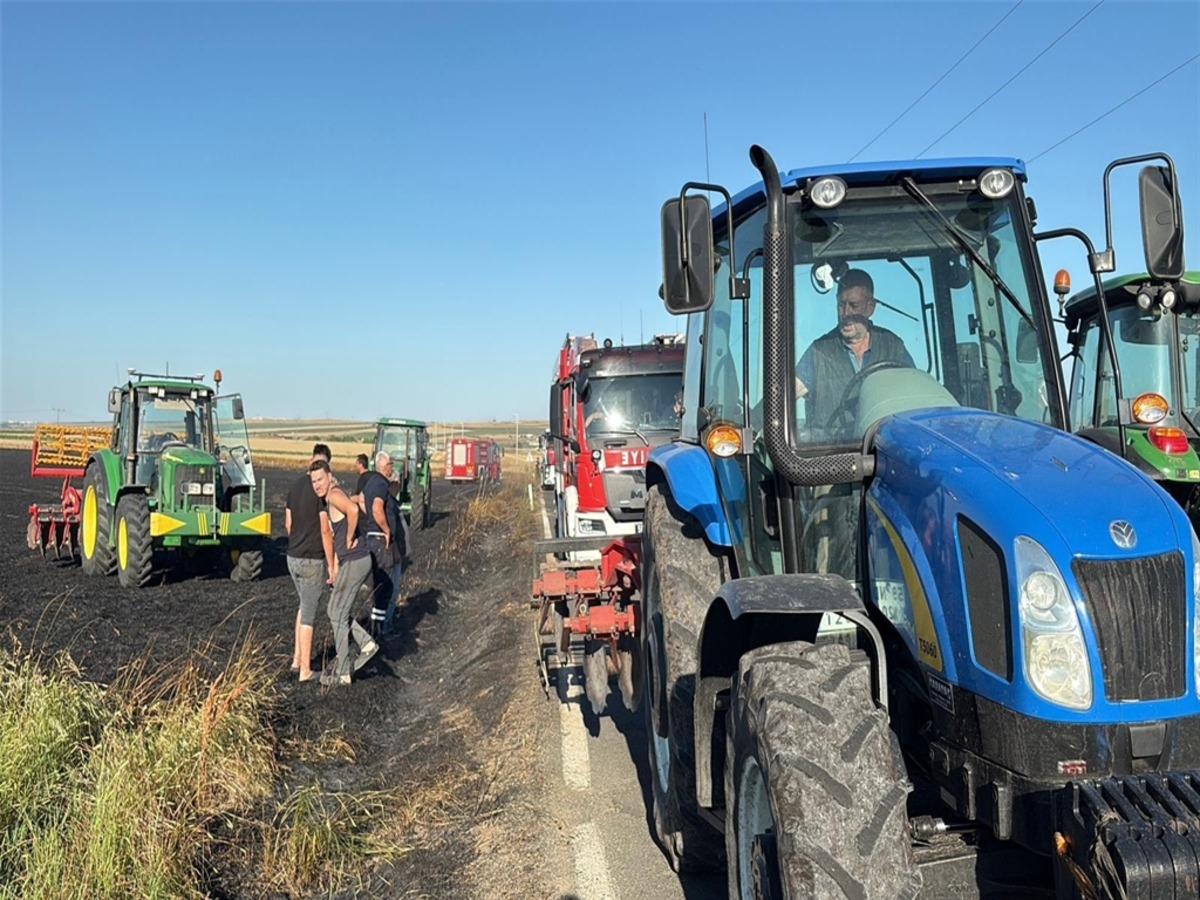 Tekirdağ da 60 d&ouml;n&uuml;m buğday ve kanola ekili alan yangında zarar g&ouml;rd&uuml; 1