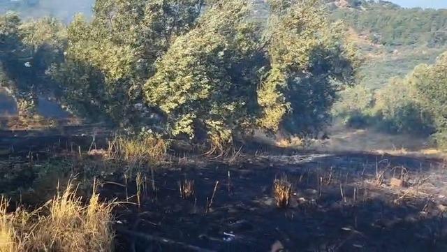 Ayvacık&rsquo;ta zeytinlik alanda &ccedil;ıkan yangın kontrol altına alındı 1