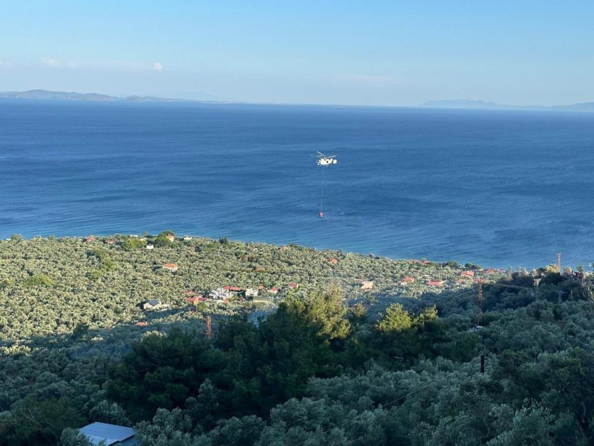 Ayvacık ta zeytinlik alanda &ccedil;ıkan yangın kontrol altına alındı 1