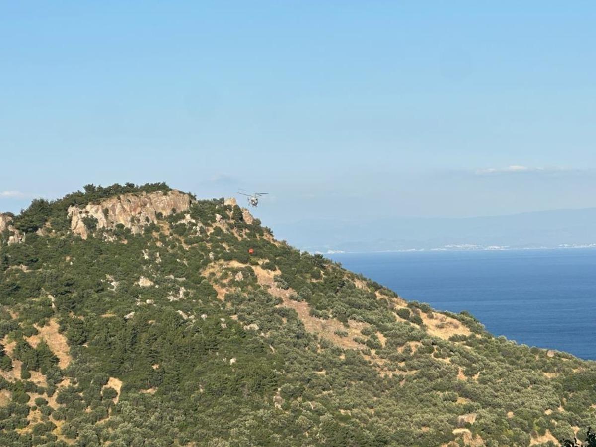 Ayvacık ta zeytinlik alanda &ccedil;ıkan yangın kontrol altına alındı 2
