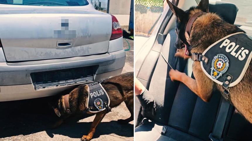 Muş&rsquo;ta 60 kilogram uyuşturucu ele ge&ccedil;irildi