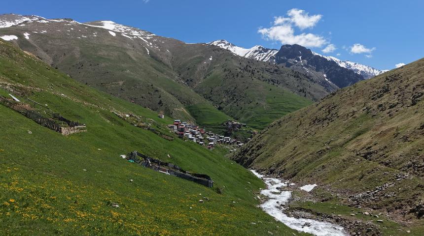 Dağda kar eteğinde bahar! T&uuml;rkiye'nin en y&uuml;kseklerinden