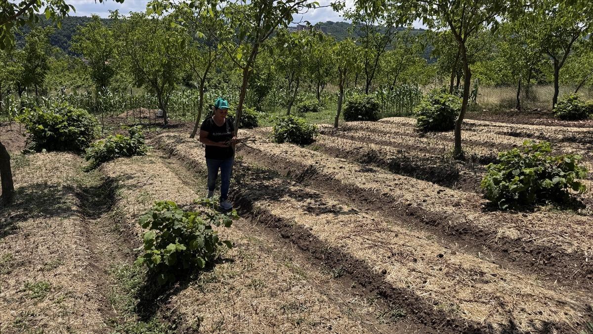 Emekli olunca hi&ccedil; bilmediği işe başladı: Değeri y&uuml;ksek, talep &ccedil;ok 5