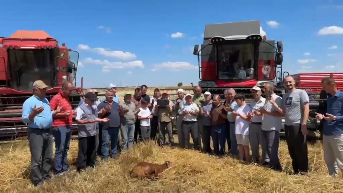 Kavaklı&rsquo;da buğday hasadı dualarla başladı 1
