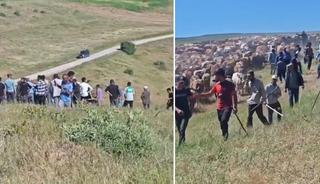 Muş&rsquo;ta iki k&ouml;y arasında 'arazi' kavgası: 2 yaralı