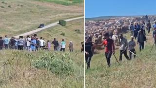 Muş’ta iki köy arasında 'arazi' kavgası: 2 yaralı