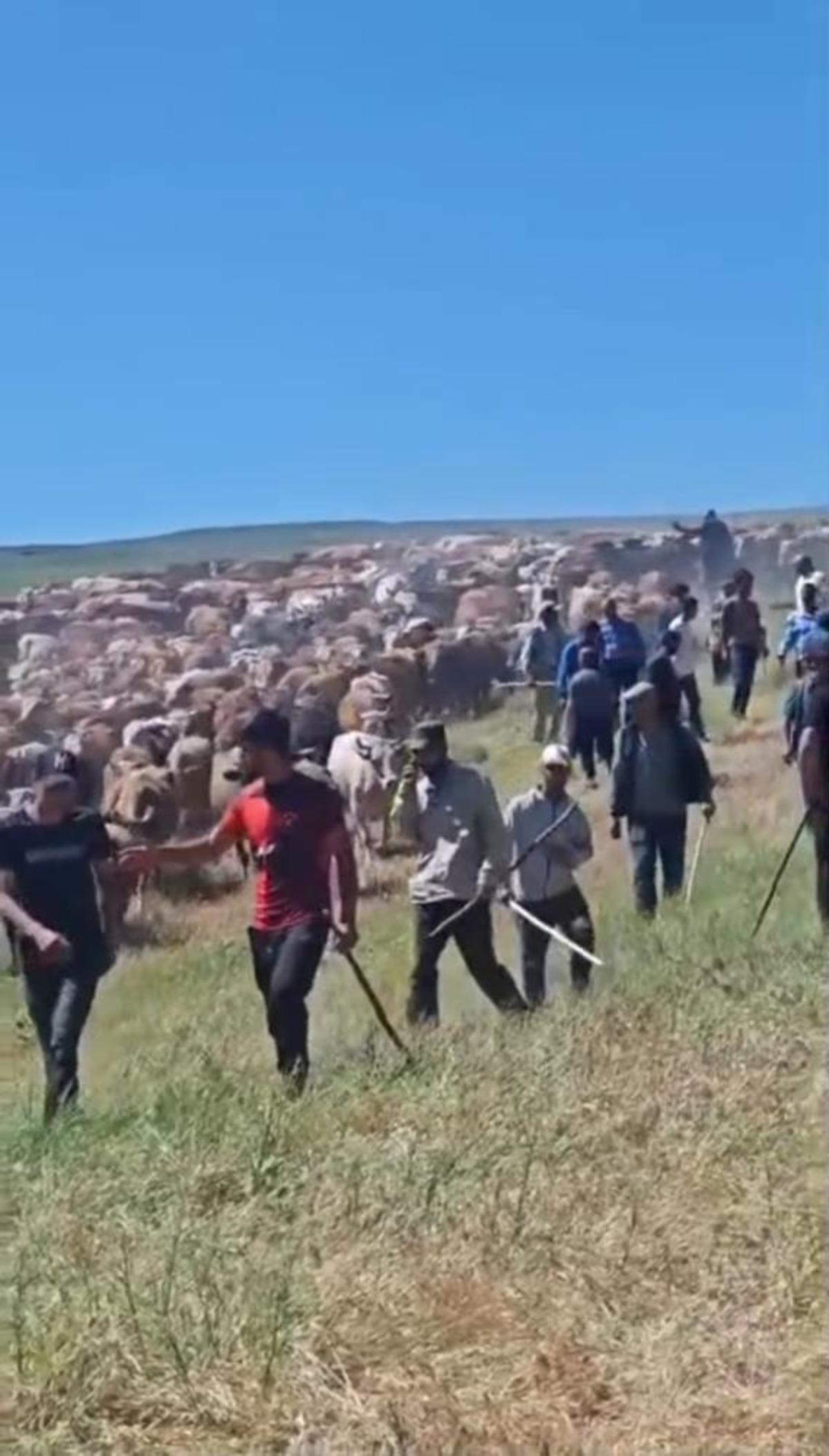 Muş&rsquo;ta iki k&ouml;y arasında  arazi  kavgası: 2 yaralı 3