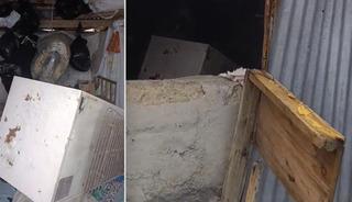 Yayla evlerini dağıtan ayı isyan ettirdi
