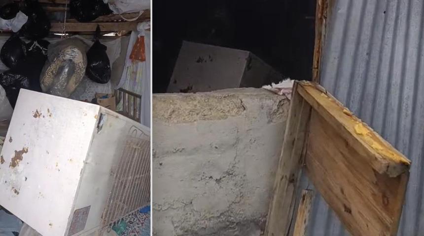 Bir g&uuml;nde 20 eve giren ayı yayla sakinlerini canından bezdirdi