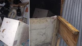 Bir günde 20 eve giren ayı yayla sakinlerini canından bezdirdi