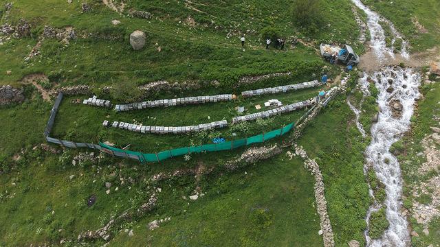 Kilosu 7 bin TL'den satılacak: 'Bu zam gerekliydi'