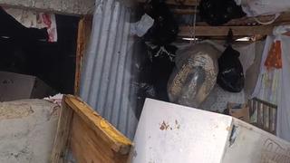 Gelen hırsız değildi: Bir günde 20 evi talan etti! 'Bırakmayın' uyarısı geldi