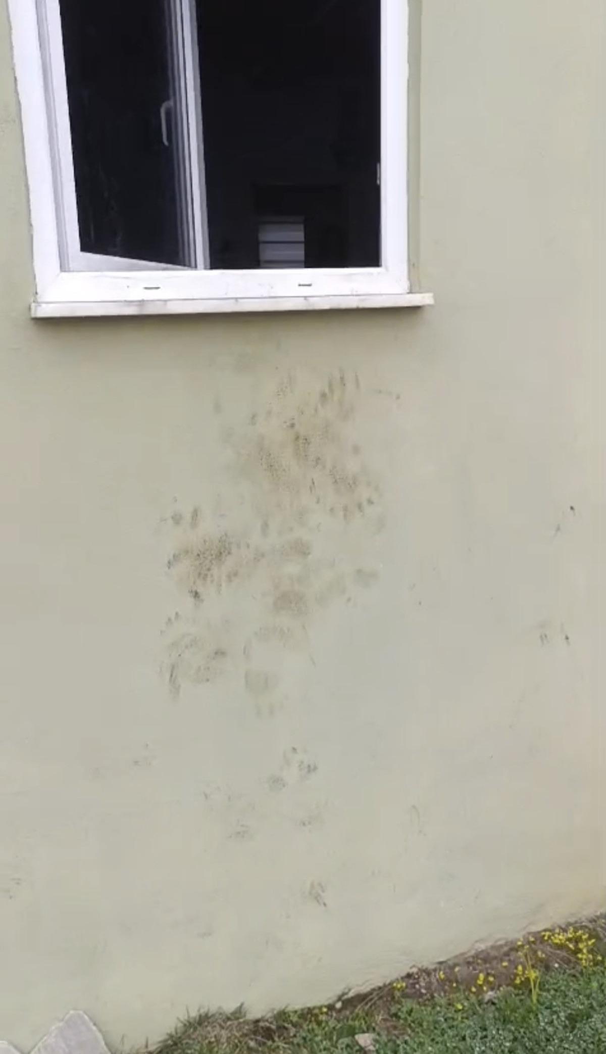 Gelen hırsız değildi: Bir günde 20 evi talan etti! Bırakmayın uyarısı geldi 1