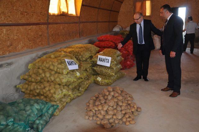 Yerli patates çeşidi Nahita'nın tohumu 15 ülkeye satılacak