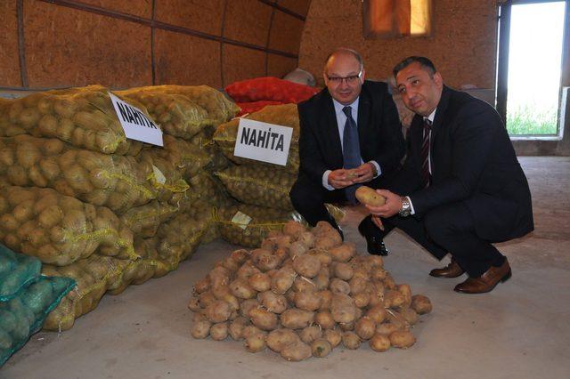 Yerli patates çeşidi Nahita'nın tohumu 15 ülkeye satılacak