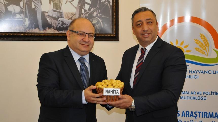Yerli patates çeşidi Nahita'nın tohumu 15 ülkeye satılacak