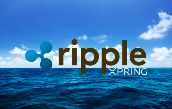 Ripple Xpring ile Yetenekli Girişimcileri Ripple Ağına Katacak