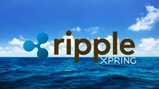 Ripple Xpring ile Yetenekli Girişimcileri Ripple Ağına Katacak