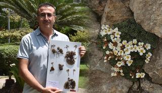 Yeni bir bitki t&uuml;r&uuml; keşfedildi: Eşinin adını verdi