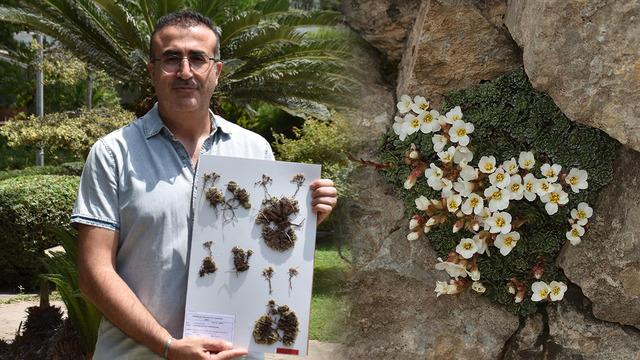 Yeni bir bitki türü keşfedildi: Eşinin adını verdi