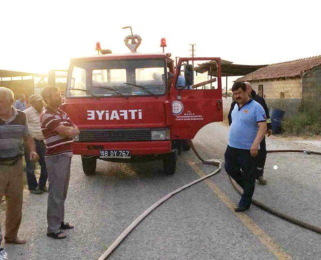 Ahırdaki saman balyaları yandı