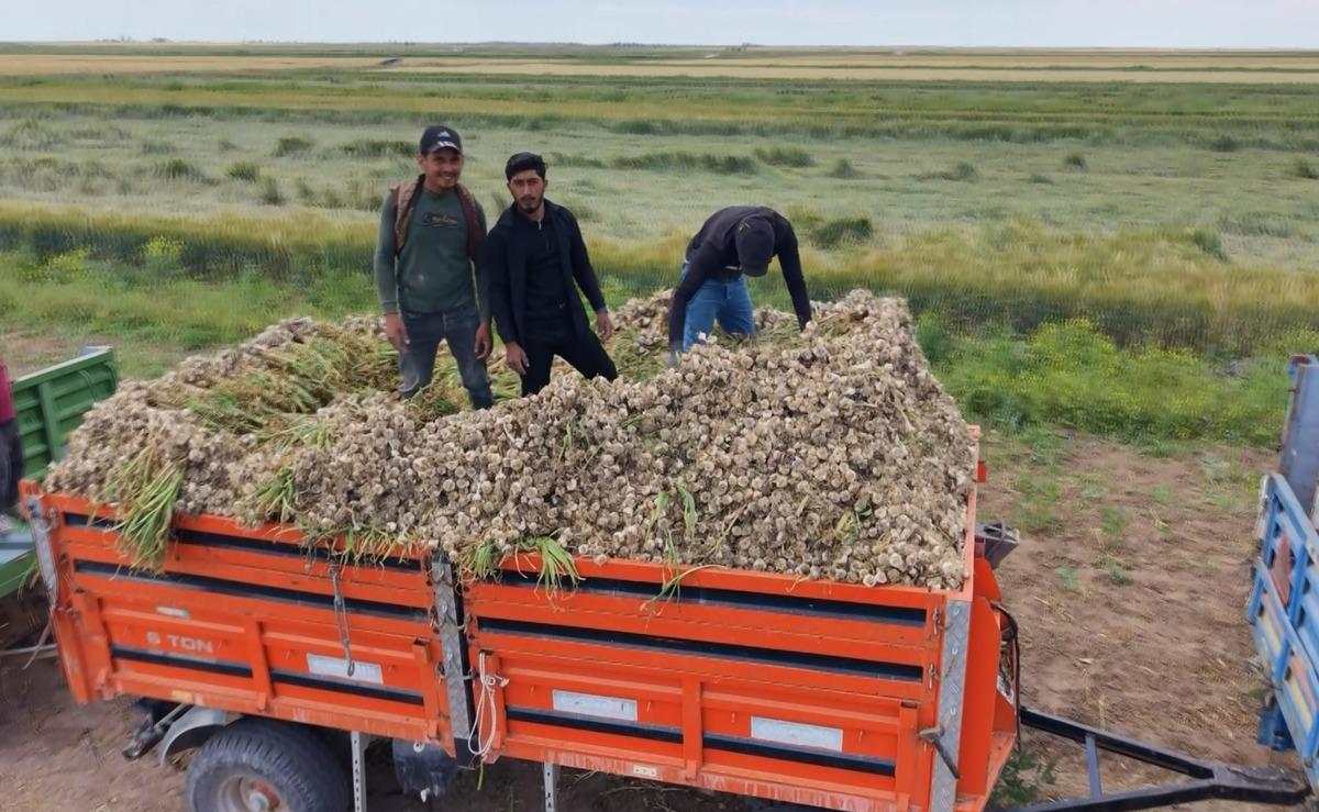 İspanya ve Rusya sıraya girdi: Almanya da istedi ama kalmadı 1