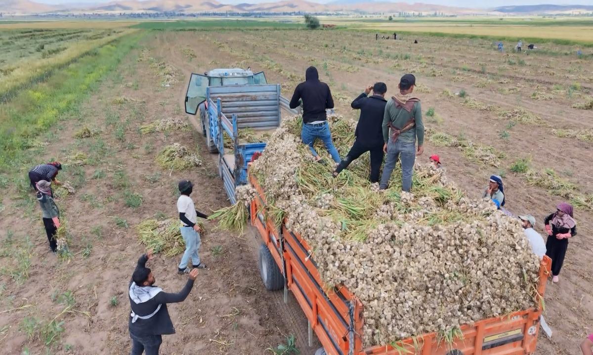 İspanya ve Rusya sıraya girdi: Almanya da istedi ama kalmadı 2