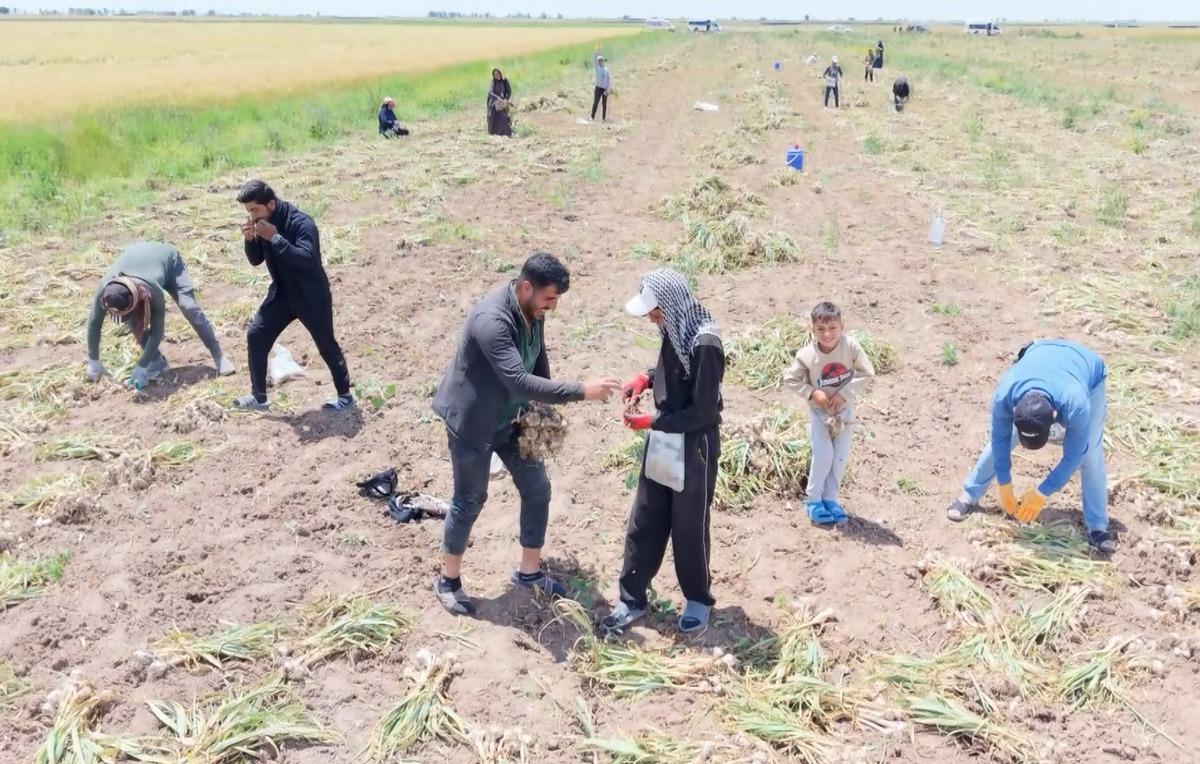 İspanya ve Rusya sıraya girdi: Almanya da istedi ama kalmadı 3