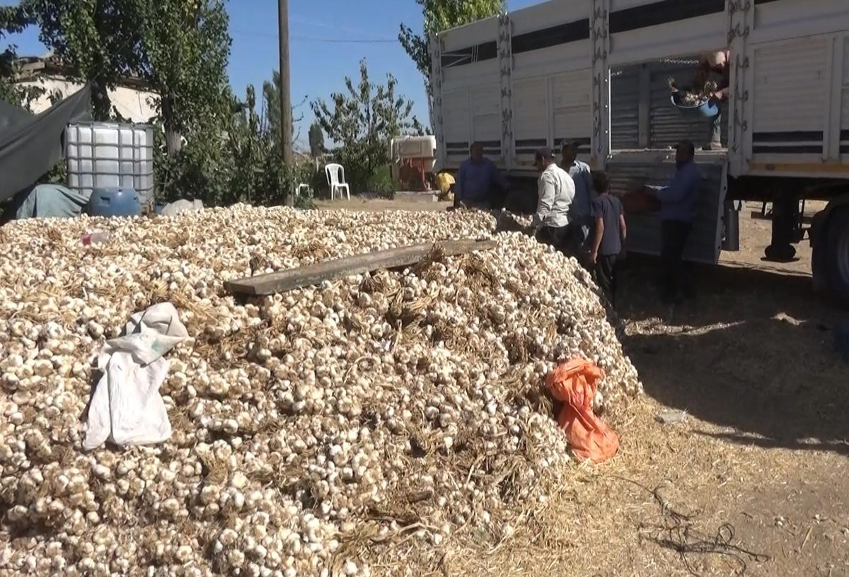 İspanya ve Rusya sıraya girdi: Almanya da istedi ama kalmadı 5