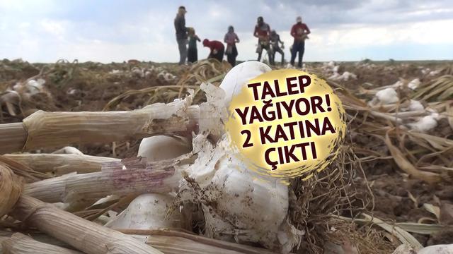 İspanya ve Rusya sıraya girdi: Almanya da istedi ama kalmadı