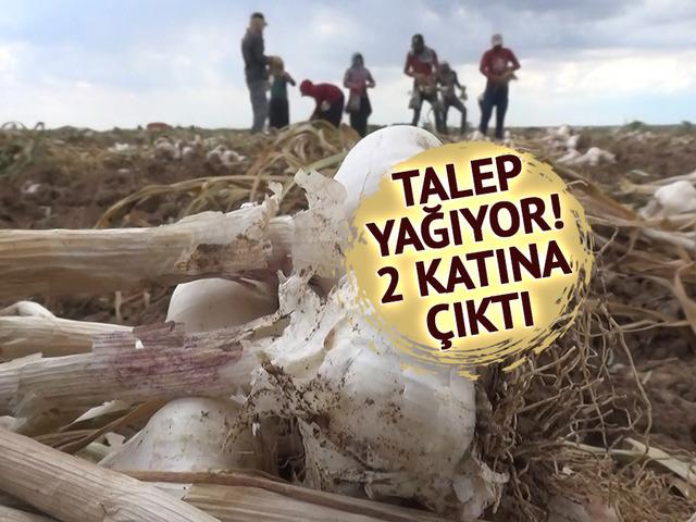 İspanya ve Rusya sıraya girdi: Almanya da istedi ama kalmadı